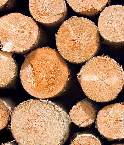 Bauholz aus der Region für die Region